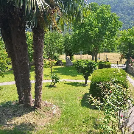 Camotta